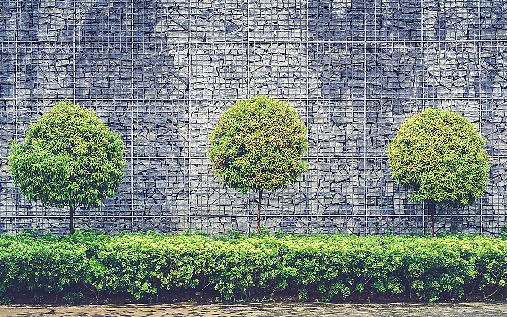 Stone retaining wall with landscape steps